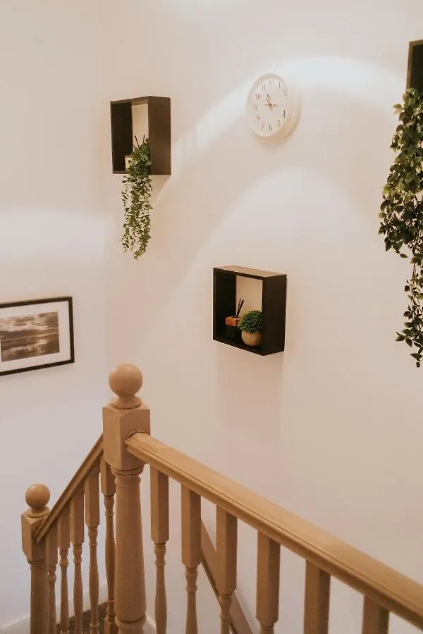 Contemporary Belfast Townhouse Villa